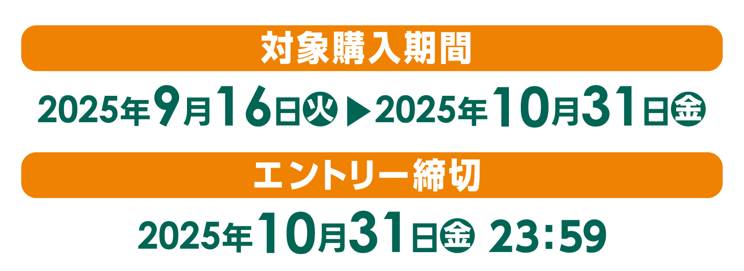 花王洗剤ポイントバックキャンペーン