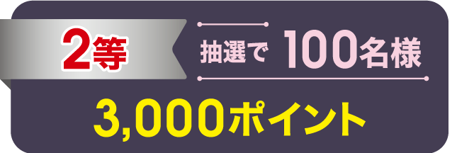 2等 抽選で100名様 3,000ポイント